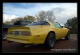 Pontiac Trans Am.DNG